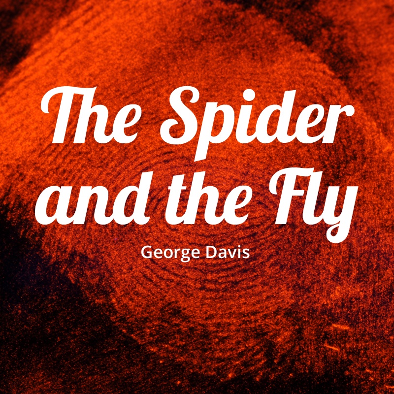 The Spider and the Fly