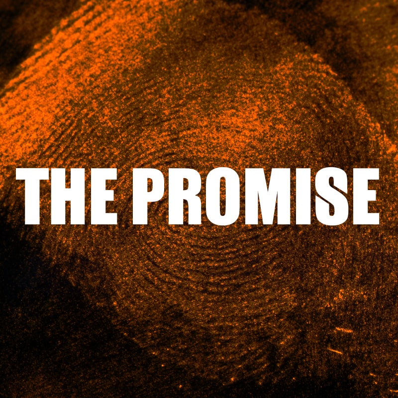 The Promise