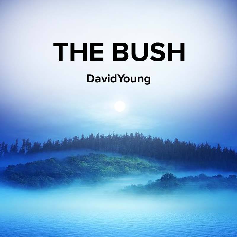 The Bush