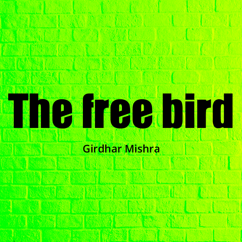 The free bird