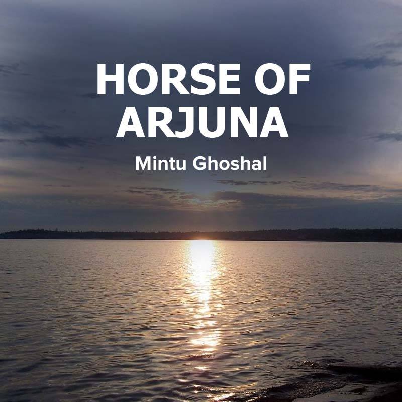 Horse of Arjuna