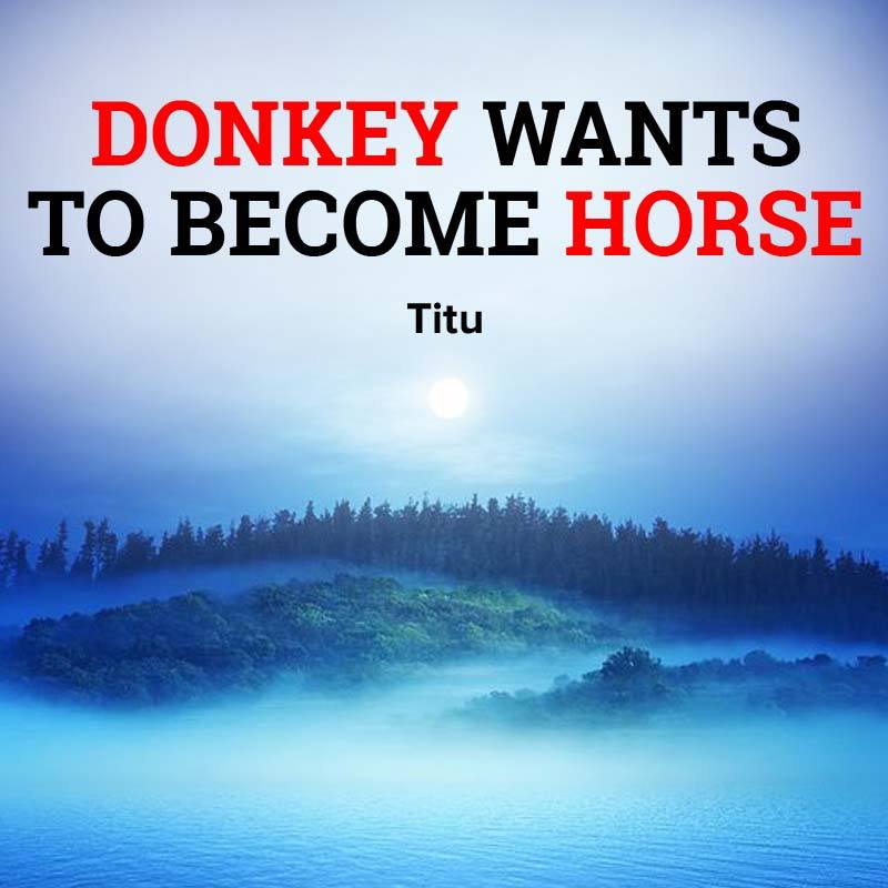 DONKEY WANTS TO BECOME HORSE      