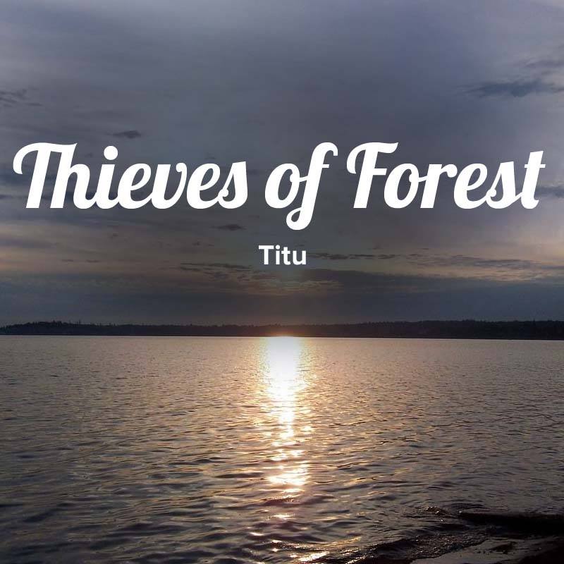 Thieves of Forest