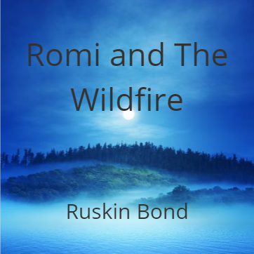 Romi and the Wildfire