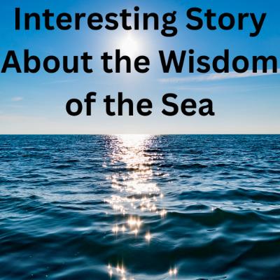 Interesting Story About the Wisdom of the Sea