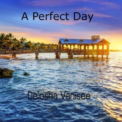 A Perfect Day