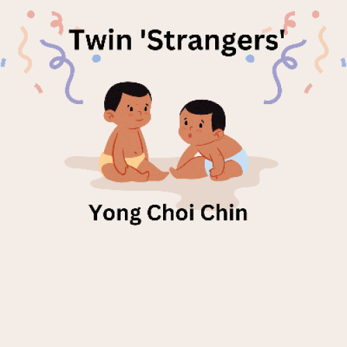 Twin strangers