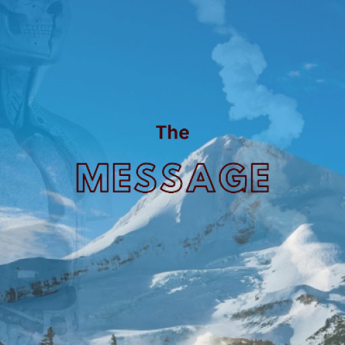 The Message 