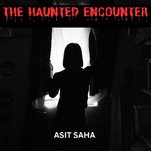 The Haunted Encounter 