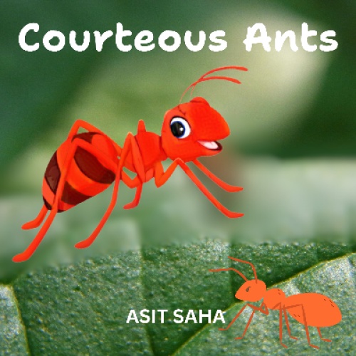 Courteous Ants 