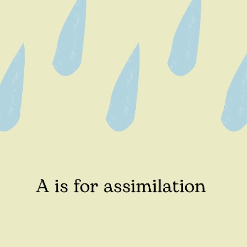 A is for Assimilation 