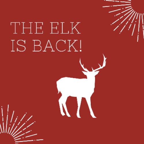 The ELK is back