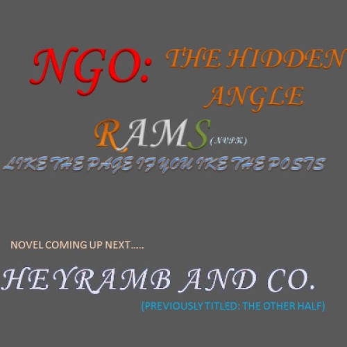 NGO : the hidden angle