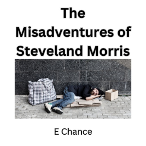 The Misadventures of Steveland Morris