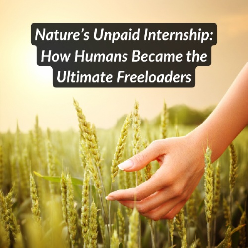 Nature’s Unpaid Internship: How Humans Became the Ultimate Freeloaders