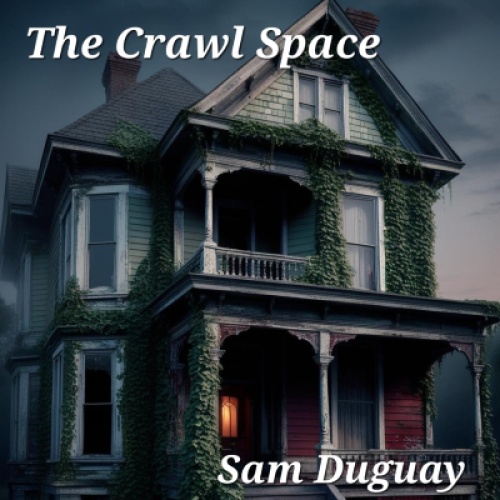 The Crawl Space