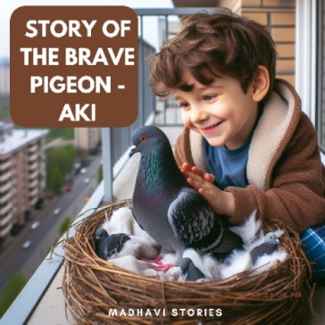 Story of the Brave Pigeon - AKI